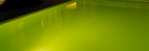 piscine tendance_10