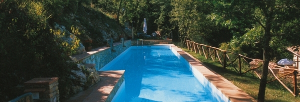 piscine sportive_3