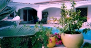 Conseils jardinage et déco